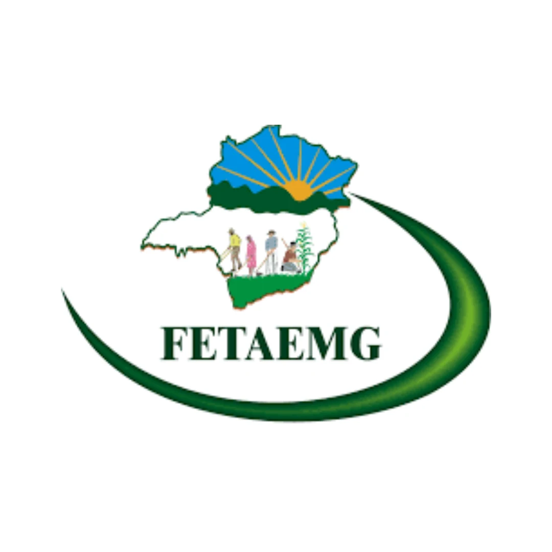 FETAEMG